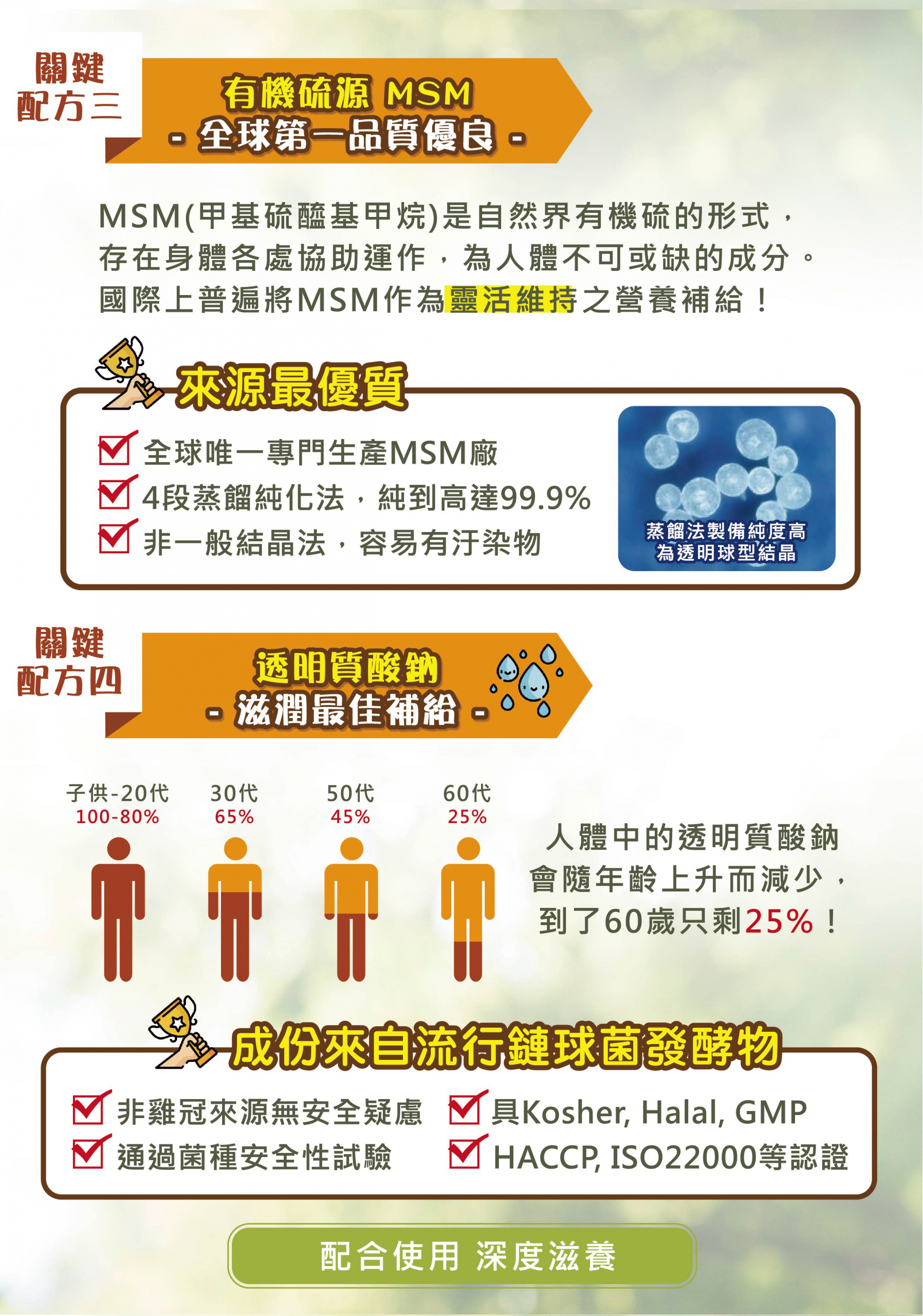 DH恆隆生技/活力固得素食版/關鍵靈活/羅望果/薑黃/橄欖果實/MSM/透明質酸鈉/健康意識抬頭/茹素/效果佳/全素