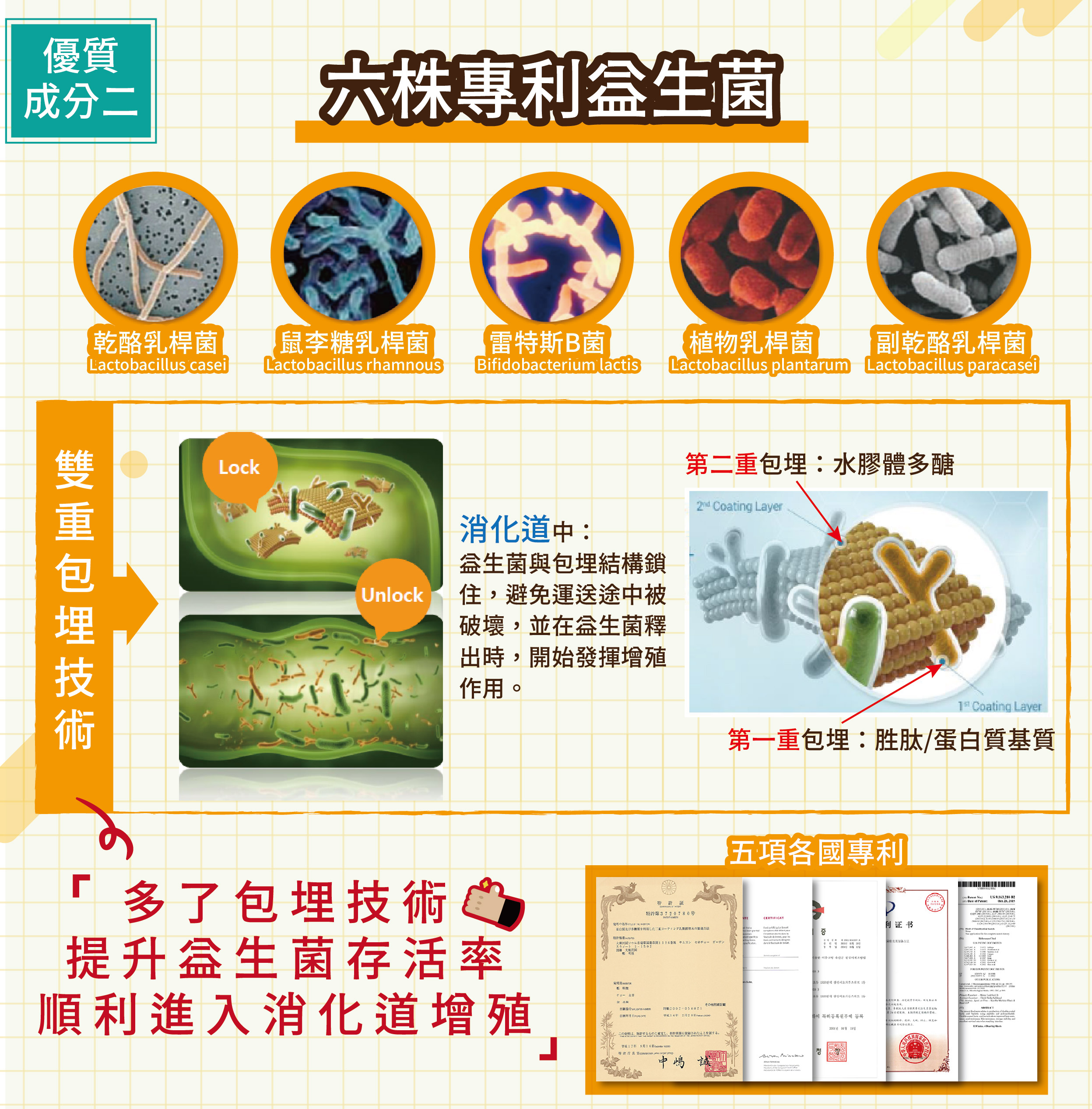 DH恆隆生技/評價/第七代敏之素益生菌/調整體質/改善細菌叢生態/寶寶益生菌/免疫力/保護力/敏感/Wellmune葡聚多醣體