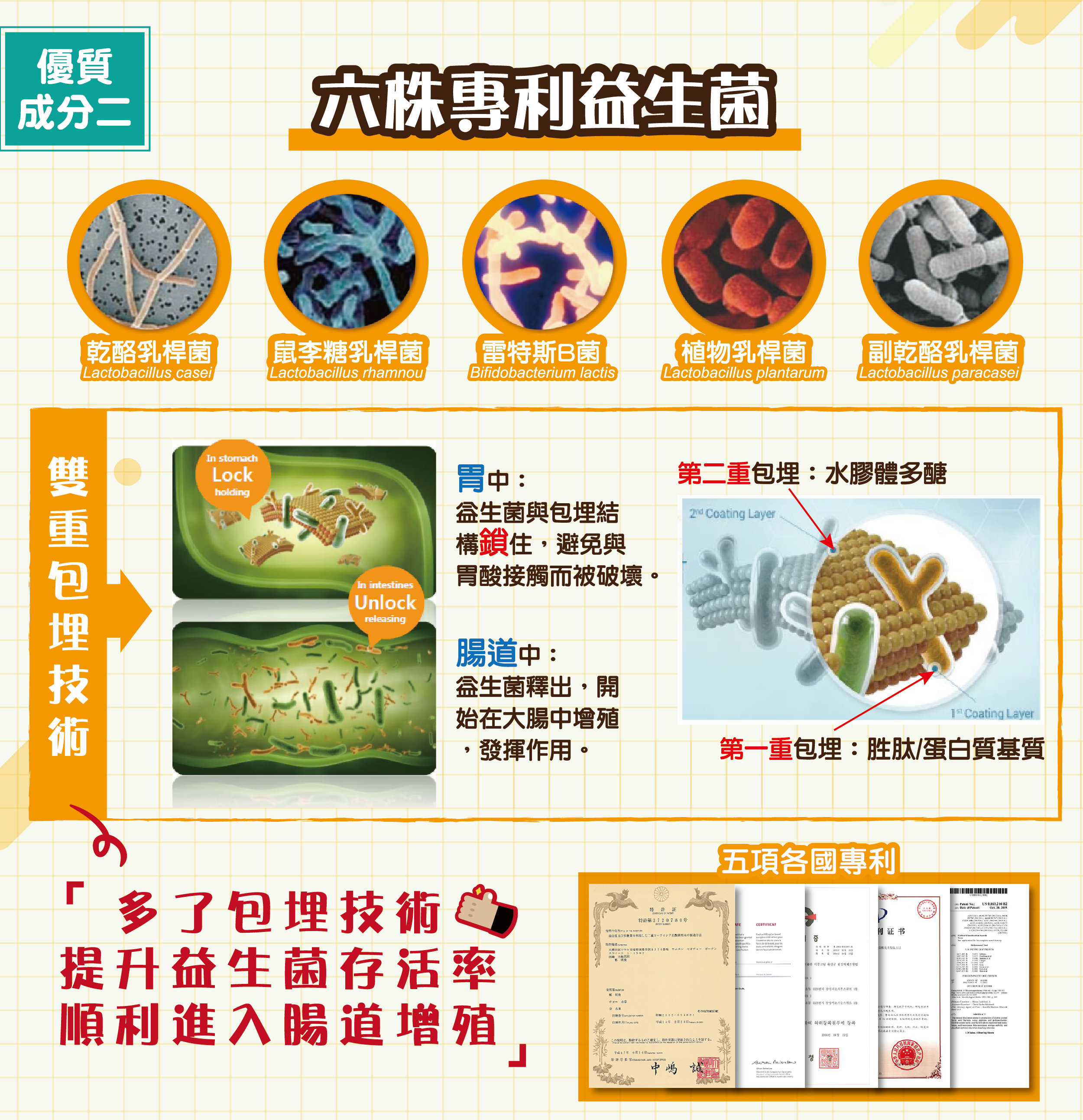 DH恆隆生技/第七代敏之素益生菌/專利益生菌/雙重包埋技術/改變細菌叢生態/耐酸/耐熱/耐鹼/寶寶益生菌