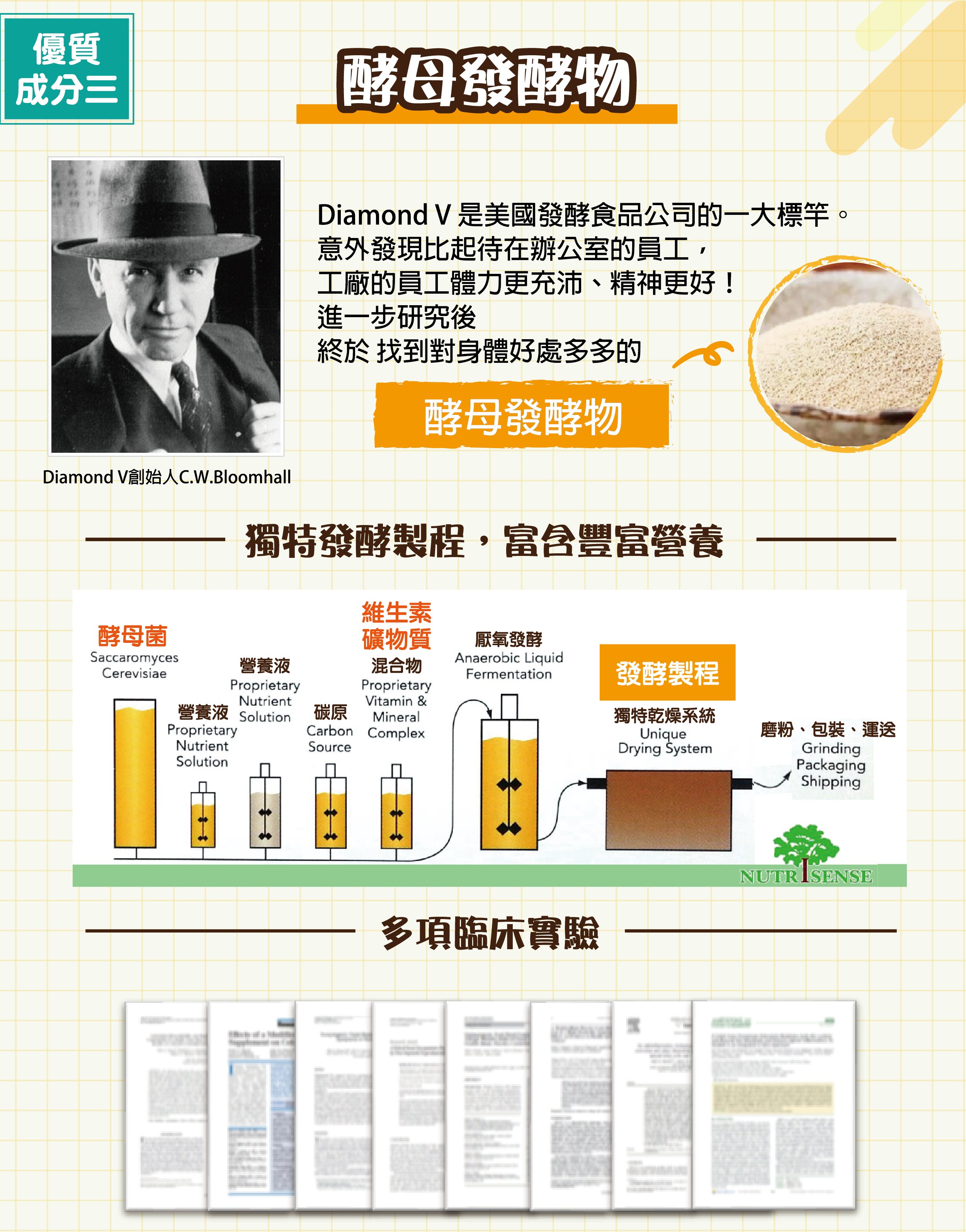 DH恆隆生技/第七代敏之素益生菌/酵母發酵物/活力充沛/調整體質